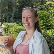 Tutoring French for GCSE and A-level (online or in Bristol)